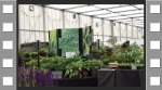 Our display at Gardeners' World Live 2018